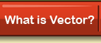 What is Vector?
